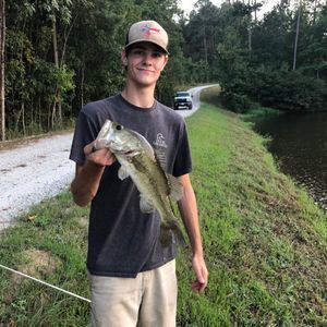 Meet your Posher, Brady